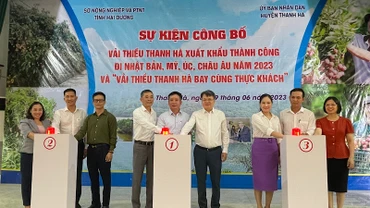 Các đại biểu bấm nút xuất khẩu vải thiều Thanh Hà đi các nước: Nhật Bản, Mỹ, Australia, châu Âu.