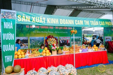 Đẩy mạnh quảng bá thương hiệu Cam Cao Phong