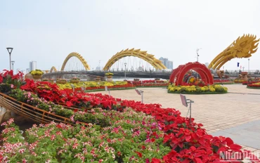 Một góc mùa Xuân trên thành phố thanh bình. Ảnh: ANH ĐÀO