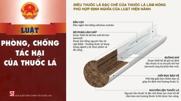 Thuốc lá làm nóng được sản xuất từ nguyên liệu thuốc lá.