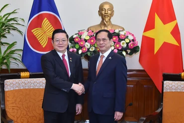 Bộ trưởng Ngoại giao Bùi Thanh Sơn và Tổng Thư ký ASEAN Kao Kim Hourn tại buổi tiếp.