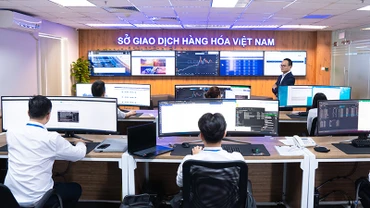 Công bố Top 5 thị phần môi giới hàng hóa năm 2023