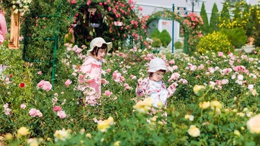 Du lịch dịp lễ 30/4-1/5: Du khách ưu tiên lựa chọn những điểm trốn nóng