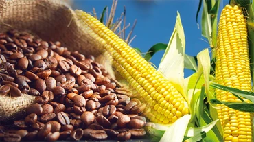 Sắc đỏ trở lại thị trường hàng hóa nguyên liệu thế giới