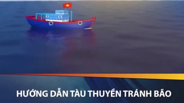 Hướng dẫn tàu thuyền tránh bão