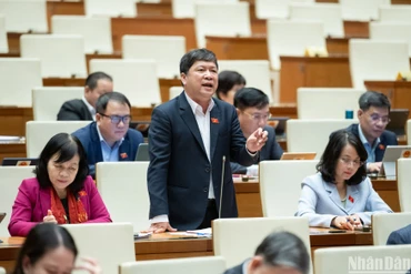 Đại biểu Quốc hội chất vấn về sai phạm trong thẩm định giá