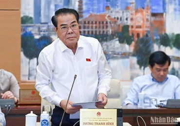 Trưởng Ban Dân nguyện Dương Thanh Bình báo cáo tại phiên họp. (Ảnh: DUY LINH)
