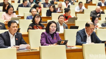 Các đại biểu Quốc hội dự phiên họp chiều 12/2. (Ảnh: THỦY NGUYÊN)