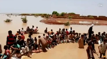 [Video] Rắn và bọ cạp tràn vào Sudan khi mùa mưa đến