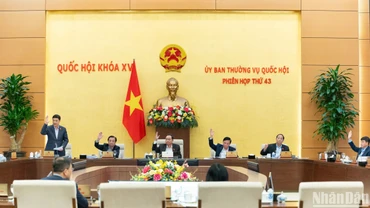 100% thành viên Ủy ban Thường vụ Quốc hội đã biểu quyết đồng ý việc giảm tiền thuê đất năm 2024 theo đề xuất của Chính phủ. (Ảnh: DUY LINH)
