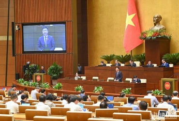 Bộ trưởng Tư pháp Lê Thành Long trả lời chất vấn tại Phiên họp thứ 25 của Ủy ban Thường vụ Quốc hội. (Ảnh: DUY LINH)