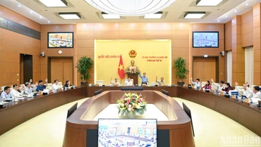 12 tỉnh, thành phố giảm một đơn vị hành chính cấp huyện, 161 đơn vị hành chính cấp xã sau sắp xếp