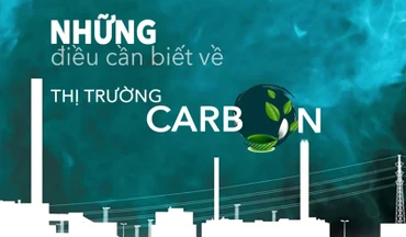 Những điều cần biết về thị trường carbon
