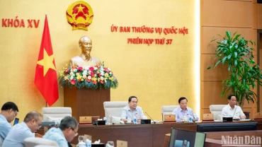 Hoàn thiện quy định về chính sách thuế tiêu thụ đặc biệt