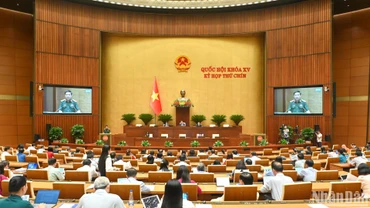Cán bộ, công chức, viên chức Nhà nước có thể tham gia lực lượng gìn giữ hòa bình 