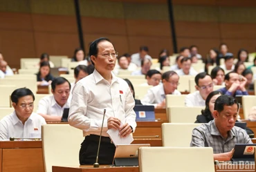 Đại biểu Nguyễn Trúc Sơn (đoàn Bến Tre) phát biểu ý kiến ở hội trường sáng 2/11. (Ảnh: DUY LINH)