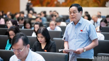 Đại biểu Hoàng Đức Thắng (đoàn Quảng Trị) phát biểu. (Ảnh: DUY LINH)