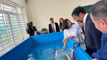Lồng lưới thực hành nuôi trồng thủy sản được bàn giao cho Trường cao đẳng Thủy sản và Công nghệ thực phẩm Hải Phòng. (Ảnh: ĐSQ Nhật Bản)