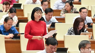 Cần có cơ chế thu hút người tài năng trong hoạt động công vụ 