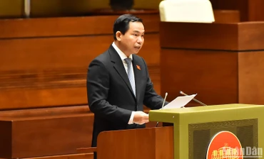 Quy định rõ phương án, nguồn lực phát triển Khu thương mại tự do Đà Nẵng
