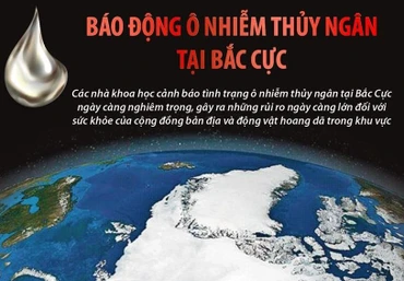 [Infographic] Báo động tình trạng ô nhiễm thủy ngân tại Bắc Cực