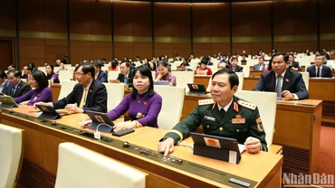 Quốc hội biểu quyết thông qua dự án Luật Dữ liệu. (Ảnh: DUY LINH)
