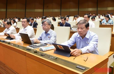 Các đại biểu Quốc hội thảo luận ở hội trường về dự án Luật Hợp tác xã (sửa đổi) sáng 10/11. (Ảnh: THỦY NGUYÊN)