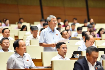 Đại biểu Quốc hội Nguyễn Anh Trí (đoàn Hà Nội) phát biểu ý kiến thảo luận tại hội trường chiều 27/5. (Ảnh: THỦY NGUYÊN)