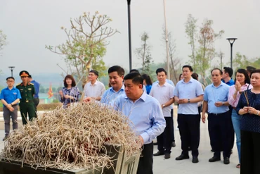 Bộ trưởng Nguyễn Chí Dũng cùng đoàn công tác đến đặt vòng hoa, dâng hương tưởng niệm và tri ân các anh hùng liệt sĩ tại Nghĩa trang Liệt sĩ quốc gia A1.