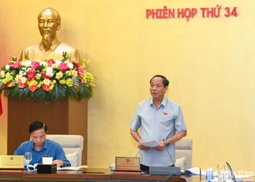 Phó Chủ tịch Quốc hội Trần Quang Phương phát biểu tại phiên họp. (Ảnh: DUY LINH)