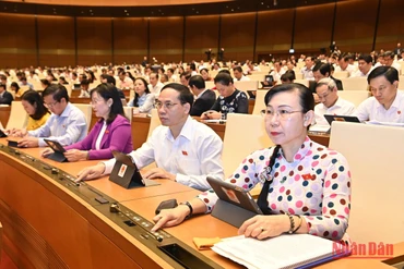 Quốc hội biểu quyết thông qua Luật Thanh tra (sửa đổi) trong phiên họp sáng 14/11. (Ảnh: ĐĂNG KHOA)