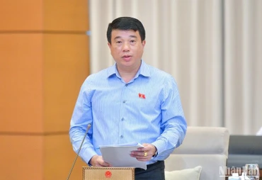 Chủ tịch Hội đồng Dân tộc của Quốc hội Y Thanh Hà Niê Kđăm, Phó Trưởng đoàn Thường trực Đoàn giám sát báo cáo tại phiên họp chiều 17/8. (Ảnh: DUY LINH)