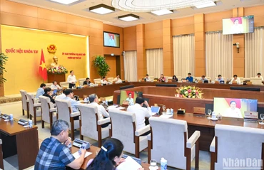 Quang cảnh phiên thảo luận về dự án Luật sửa đổi, bổ sung một số điều của Luật Dược. (Ảnh: DUY LINH)