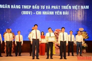 Trao tặng bằng khen cho các doanh nghiệp có thành tích hỗ trợ an sinh xã hội.