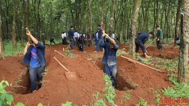 Phần mộ liệt sĩ tại huyện Hớn Quản, tỉnh Bình Phước được các chiến sĩ Đội K72 tìm kiếm, cất bốc. 
