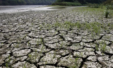 El Nino khiến các hiện tượng thời tiết cực đoan trở nên trầm trọng hơn. (Ảnh minh họa: Reuters)