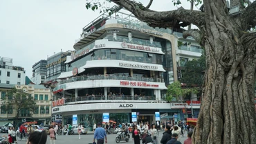 Hình ảnh tòa nhà Hàm cá mập