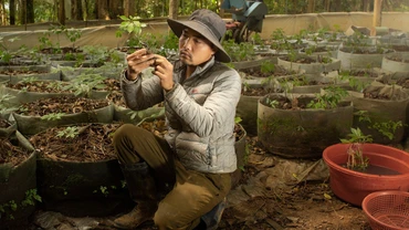 Từ “hạt ngọc quý” nơi “đỉnh trời” Ngọc Linh đến ước mơ đưa sản phẩm OCOP vươn tầm quốc tế