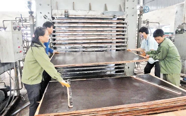 Các hộ gia đình ở xã Minh Sơn, huyện Hữu Lũng mở xưởng chế biến, ép tấm gỗ xuất khẩu. 
