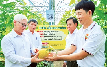 Bí thư Tỉnh ủy Bình Dương Nguyễn Văn Lợi (ngoài cùng, bên trái) tham quan vườn dưa lưới của Hợp tác xã Nông nghiệp công nghệ cao Kim Long ở huyện Phú Giáo. (Ảnh Trần Tình)