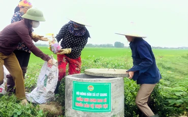 Hội viên Hội Nông dân xã Kỳ Giang, huyện Kỳ Anh, tỉnh Hà Tĩnh thu gom vỏ thuốc bảo vệ thực vật trên đồng ruộng. (Ảnh PHAN LÝ)