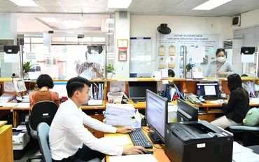 Cán bộ Cục Sở hữu trí tuệ giải quyết hồ sơ đăng ký quyền sở hữu trí tuệ của người dân. (Ảnh MỸ HÀ)