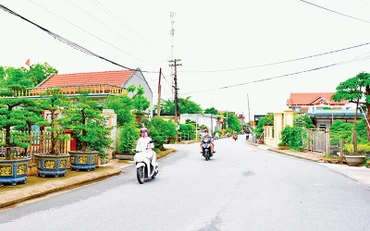 Một đường quê khang trang sạch đẹp tại Nam Điền, Nam Trực.
