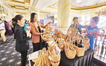 Những sản phẩm nông nghiệp được giới thiệu tại Hội chợ du lịch Bà Rịa-Vũng Tàu.