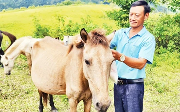 Anh Hồ Chử Vàng - nông dân điển hình làm kinh tế giỏi ở xã Phìn Hồ, huyện Nậm Pồ, tỉnh Điện Biên.