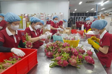 Ngành công thương Long An đang hướng người sản xuất và chế biến chuyển mạnh sang sản xuất xanh, bền vững để hội nhập và vươn ra biển lớn.