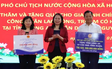 Phó Chủ tịch nước Võ Thị Ánh Xuân trao tặng 10 căn nhà tình nghĩa và tiền cho Quỹ bảo trợ trẻ em tỉnh Long An.