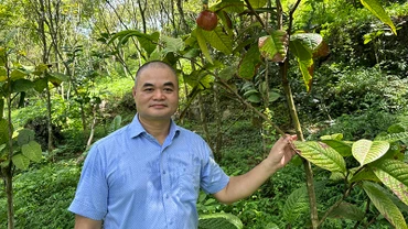 TS Vũ Văn Tâm tại Công viên Trà Hoa vàng, Thung lũng Cổ Ngựa, huyện Nho Quan, Ninh Bình.