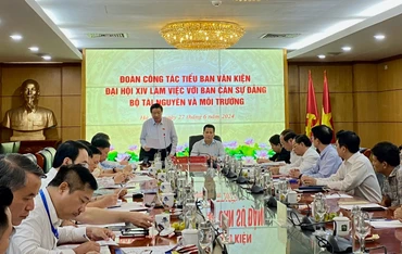 Quang cảnh buổi làm việc.
