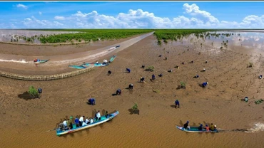 Bãi Bồi ven biển Mũi Cà Mau, một trong những điểm đến lý tưởng, hấp dẫn khách thập phương. (Ảnh: CTV)
